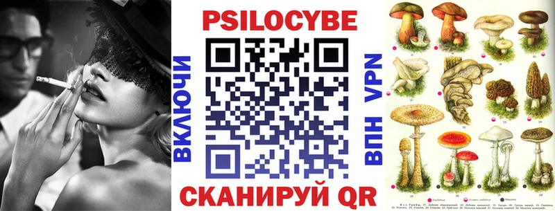 Галлюциногенные грибы Magic Shrooms  сколько стоит  Петровск-Забайкальский 